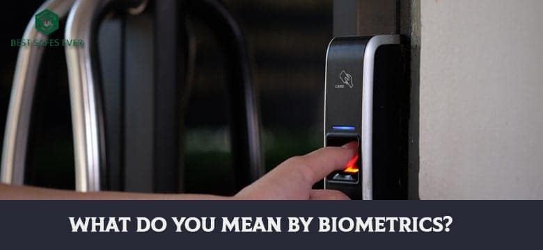 What Do You Mean By Biometrics